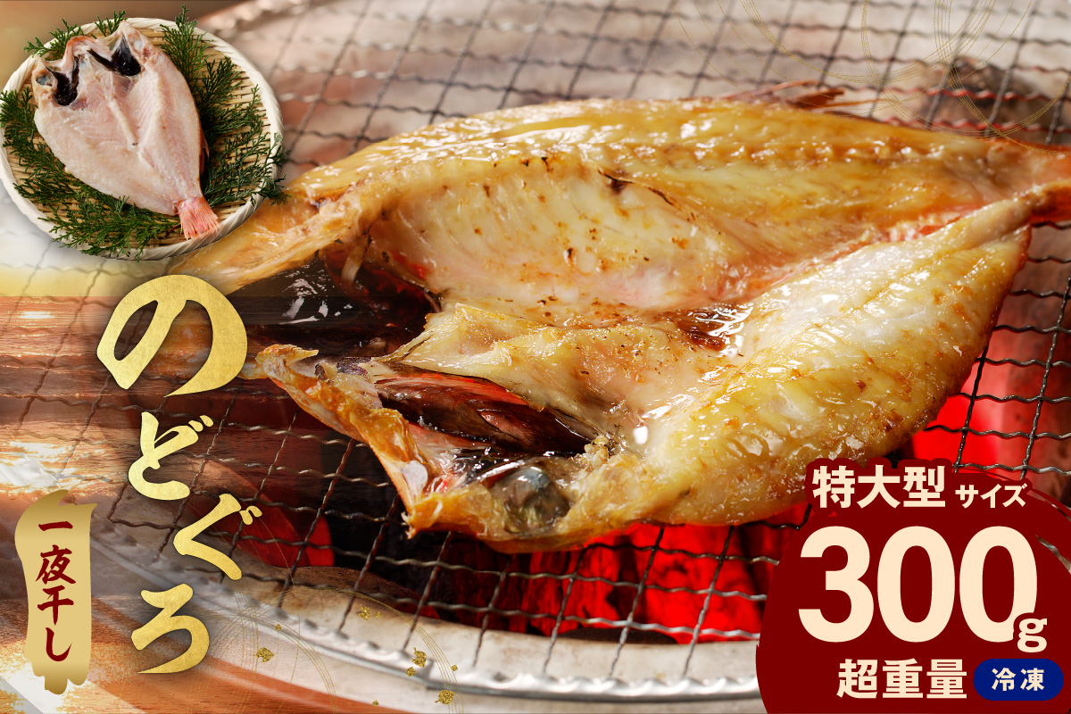 のどぐろ一夜干し個包装1枚 「超希少サイズ・特大型300g超重量」＜10月以降順次発送＞ 産地直送 干物 魚 一夜干し 人気 大きい 天然 ボリューム ノドグロ【005_0130】