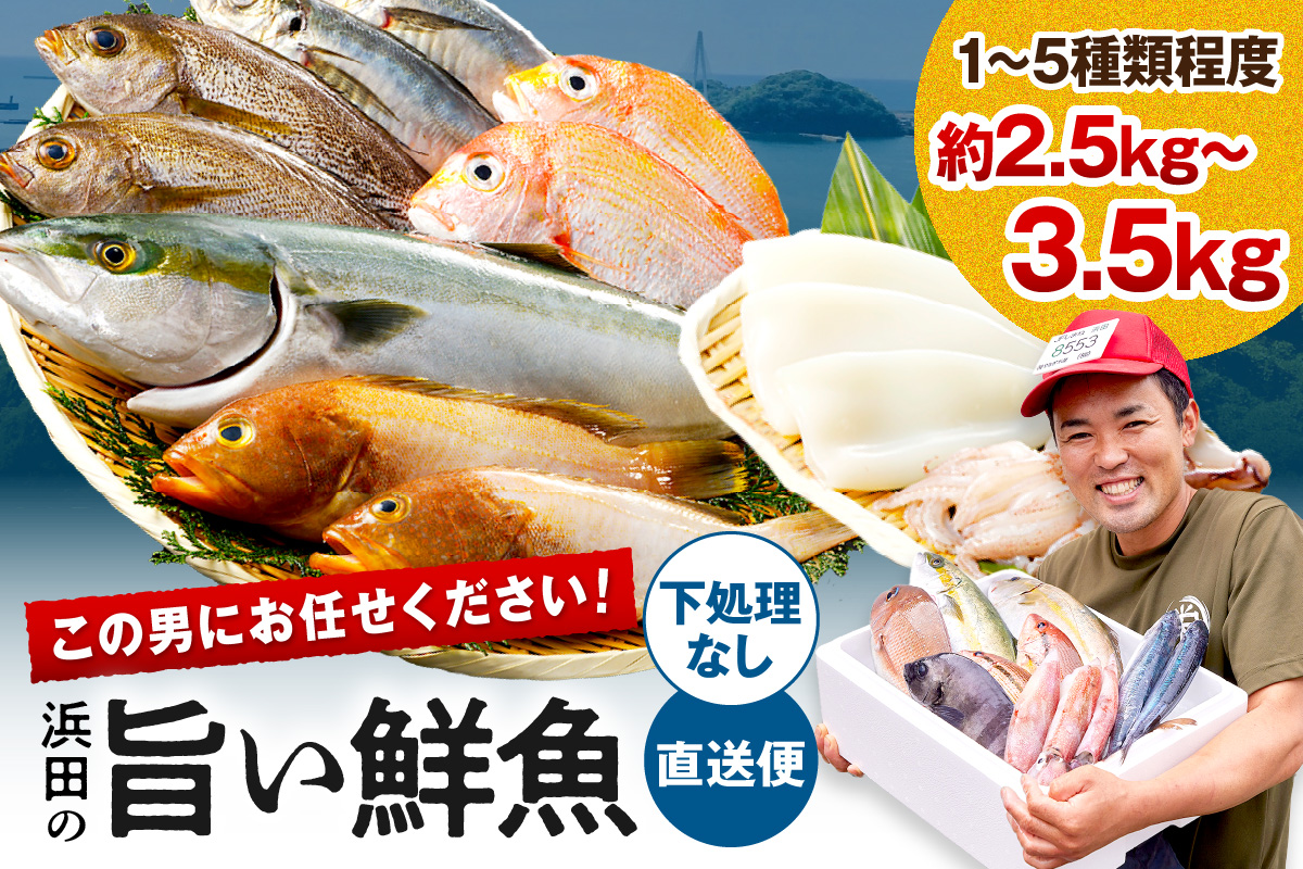 この男に任せてみませんか～浜田の旨い鮮魚直送便（下処理なし）～ 海鮮 鮮魚 詰め合わせ セット おまかせ 旬 直送便 人気 お取り寄せ【006_2048】