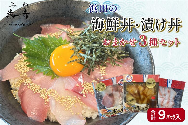 浜田の海鮮丼・漬け丼おまかせ3種セット 9パック 【195_2020】