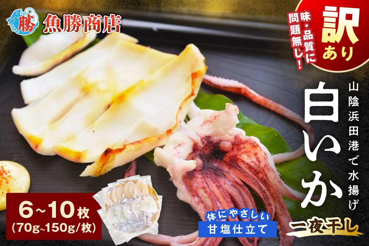 【訳アリ】白いか一夜干し （70g～150gｘ6～10枚） 訳アリ 小分け いか 白いか 個包装 一夜干し 産地直送 おつまみ 【136_1984】