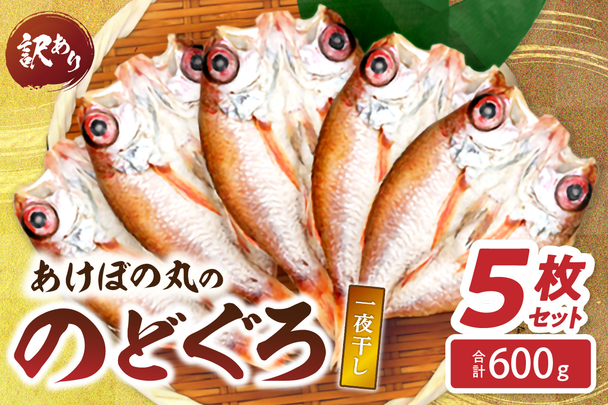 【訳あり数量限定】あけぼの丸ののどぐろ一夜干し5枚セット合計600g 魚介 のどぐろ 一夜干し 訳あり【146_2035】