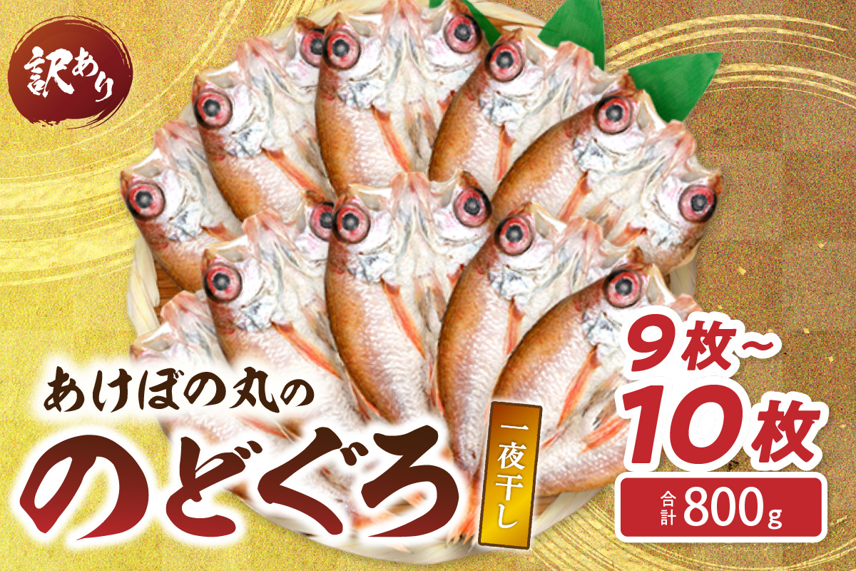 【訳あり数量限定】あけぼの丸ののどぐろ一夜干し800g（9～10枚） 魚介 のどぐろ 一夜干し 訳あり【146_2036】