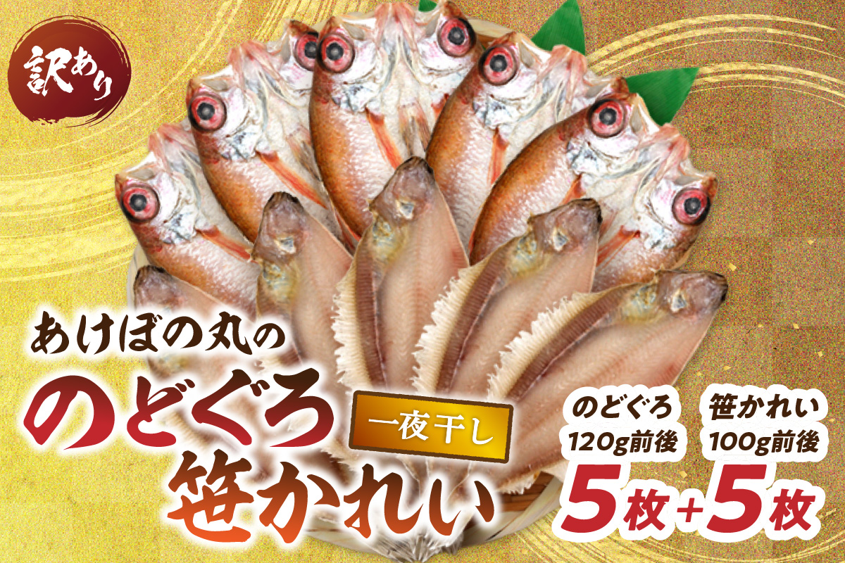【訳あり数量限定】あけぼの丸ののどぐろ・笹かれい一夜干しセット 魚介 のどぐろ 笹かれい 一夜干しセット 5枚 セット【146_2037】
