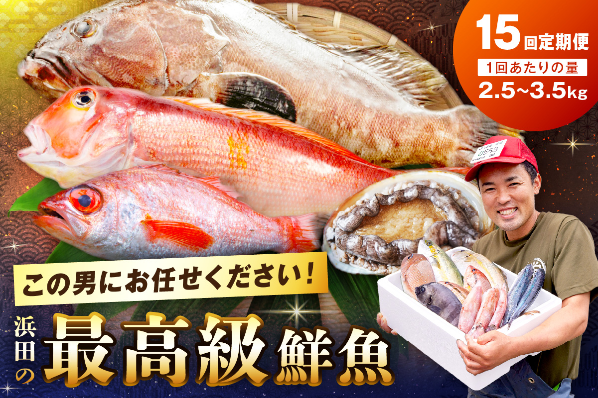 【定期便】どんちっち浜田【極上】の鮮魚 15回～最高級この男シリーズ～ 【006_2053】