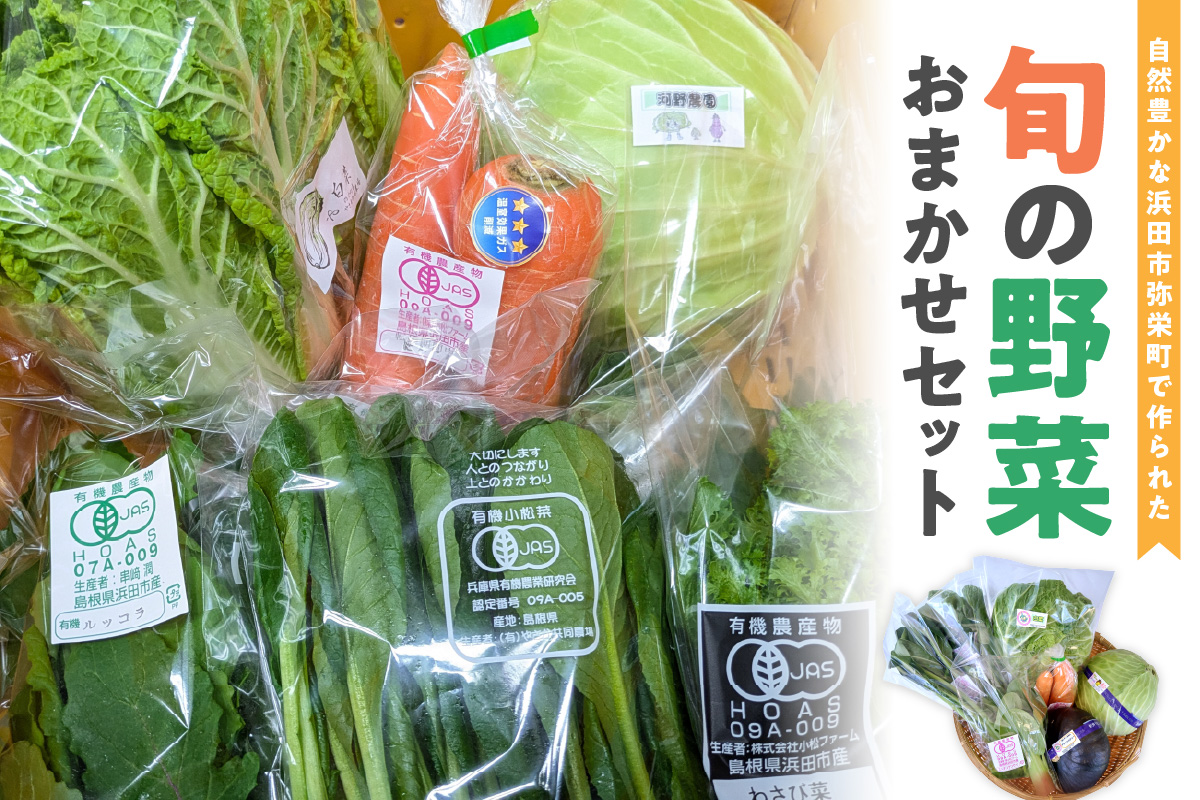 自然豊かな浜田市弥栄町で作られた「旬の野菜おまかせセット」 野菜 野菜セット 減農薬 旬 詰め合わせ セット おまかせ おたのしみ ギフト 【065_0493】