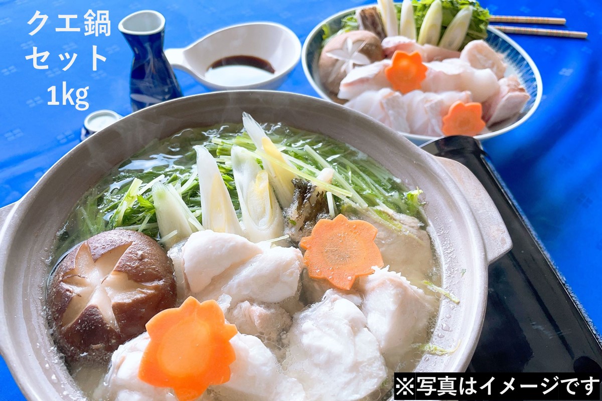 【先行予約】 幻の天然物 クエ鍋セット 1kg ＜11月からお届け＞ クエ くえ 魚介類 魚貝類 鍋セット ご当地グルメ 海鮮 ポン酢 宴 クリスマス 【087_0242】