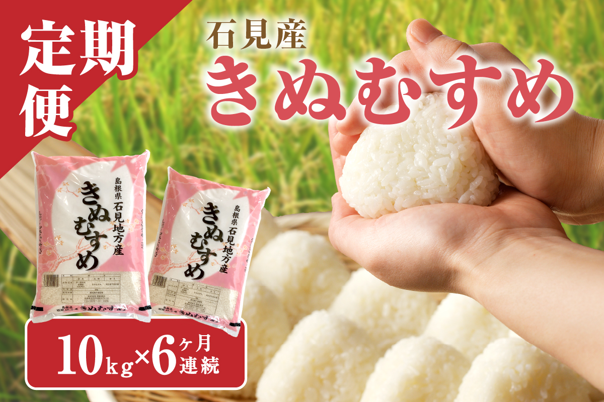 【令和7年産】【定期便】石見産きぬむすめ　6ヶ月（10ｋｇ×6回コース） 米 お米 精米 白米 ごはん 新生活 応援 準備 お取り寄せ 特産 定期 6回 新米 【058_1854】