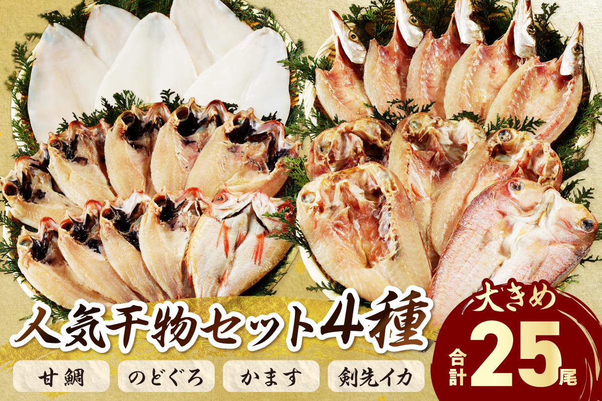 山陰浜田港 水揚げされた大きめ人気干物セット 魚介類 魚貝類 魚介 魚 干物 干もの 一夜干し 干物セット セット 加工品 【025_0426】