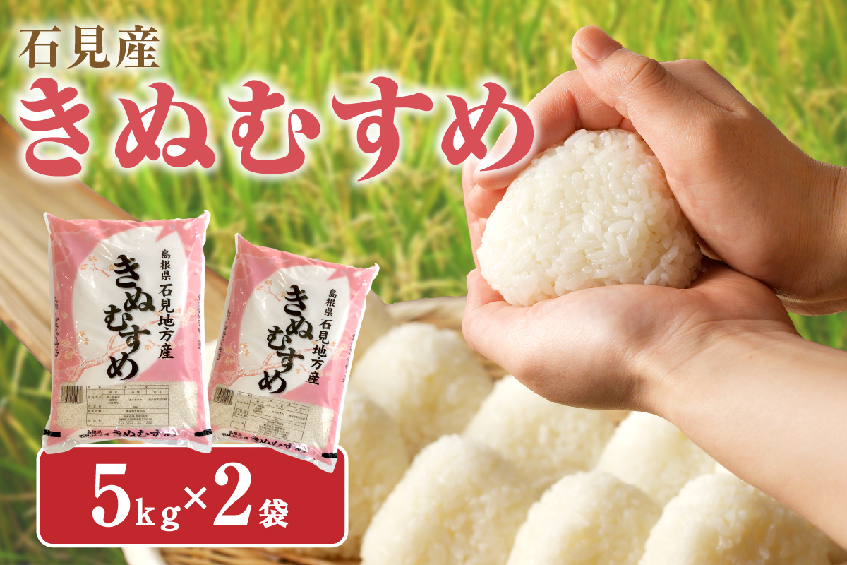 【令和7年産】石見産きぬむすめ10kg 米 お米 きぬむすめ 精米 白米 ごはん 新生活 応援 準備 お取り寄せ 特産 10キロ 【058_1847】