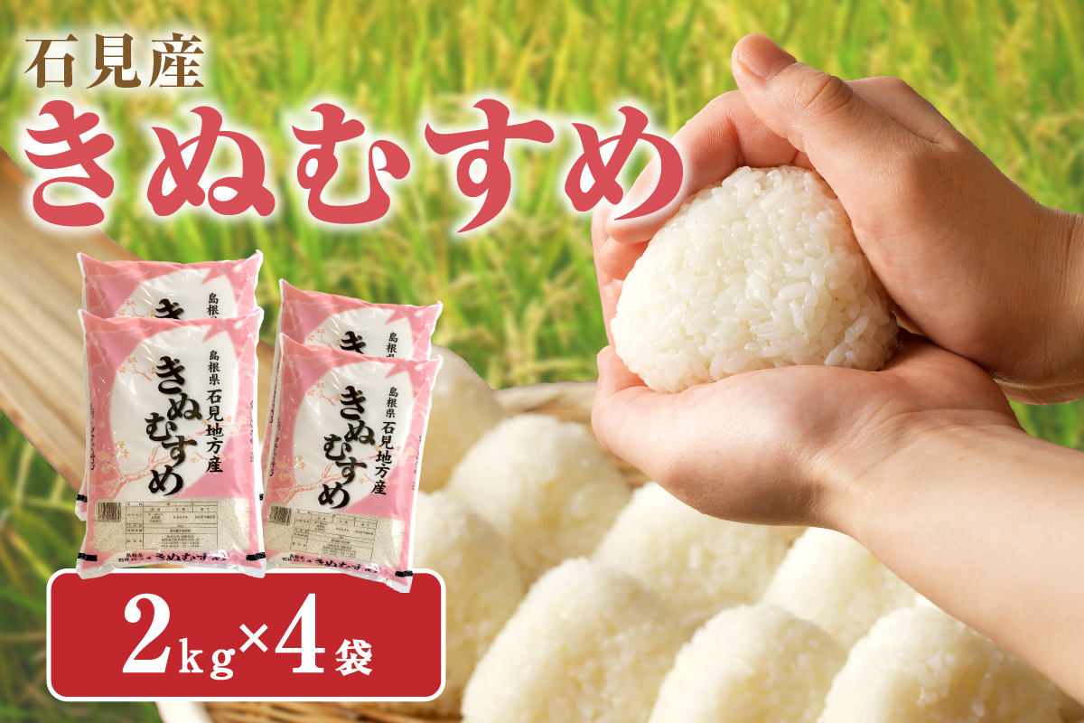 【令和7年産】 石見産「きぬむすめ」（２ｋｇ×４袋） 米 お米 きぬむすめ 精米 白米 ごはん 新生活 応援 準備 お取り寄せ 特産 【058_1849】