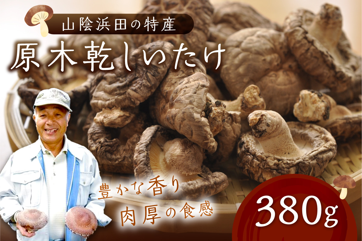 山陰浜田の特産「特選原木乾しいたけ」380g 椎茸 乾物 干し 乾燥しいたけ きのこ 原木栽培 原木椎茸 原木しいたけ 肉厚しいたけ 【010_1940】
