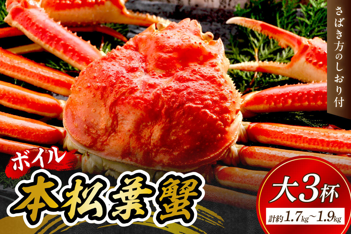 【 国産日本海の松葉蟹をボイルでお届け！ 】【先行予約】ボイルでお届け。ボイル本松葉蟹 大3杯（タグ付き）Bセット＜12月10日～2月末までのお届け＞ カニ 魚介類 海の幸 カニ 年内配送 年末年始配送 【097_0728】