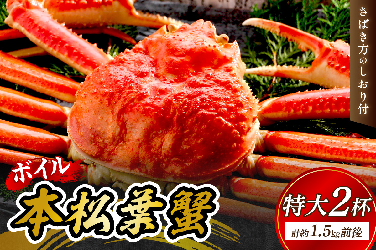 【 国産日本海の松葉蟹をボイルでお届け！ 】【先行予約】 ボイルでお届け。ボイル本松葉蟹 特大2杯（タグ付き）Cセット＜12月10日～2月末までのお届け＞ 国産 カニ 魚介類 海の幸 年内配送 年末年始配送 【097_0729】