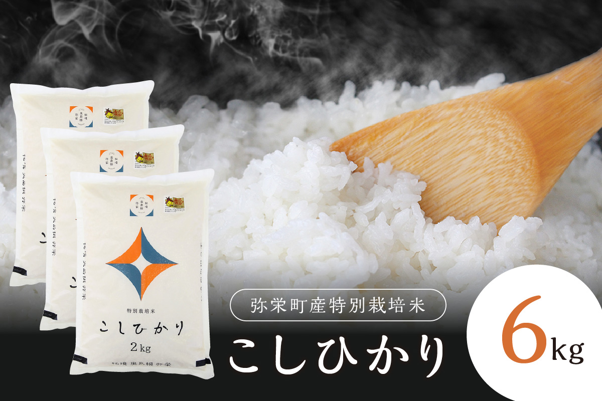 【令和6年産】弥栄町産特別栽培米「秘境奥島根弥栄」こしひかり6kg 米 お米 精米 白米 ごはん コシヒカリ 6キロ 特別栽培米 お取り寄せ 特産 新生活 応援 準備 【090_1863】
