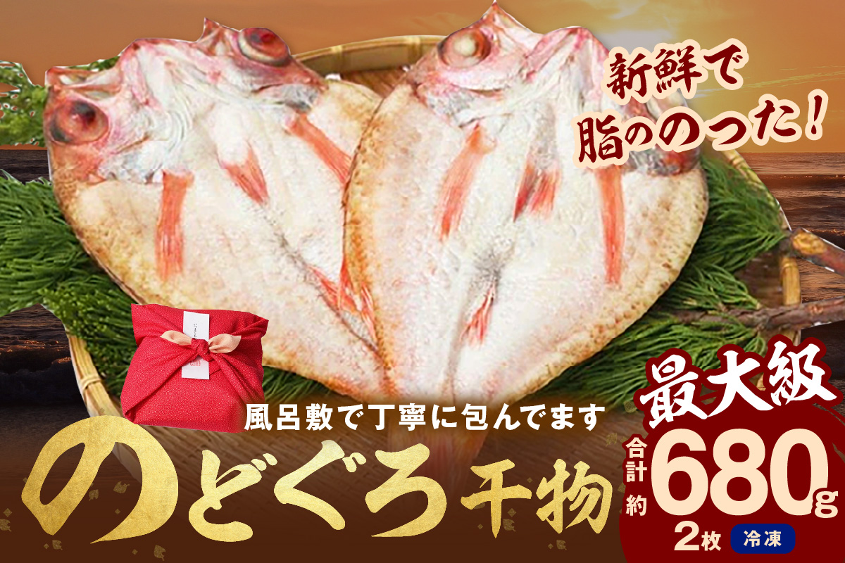 のどぐろ干物最大級2枚（30cm 計680g前後）のどぐろ本来の旨味に出会う渾身の干物 河野乾魚店 魚介類 魚貝類 のどぐろ 干物 干もの 一夜干し 2枚 お祝い 【019_1943】