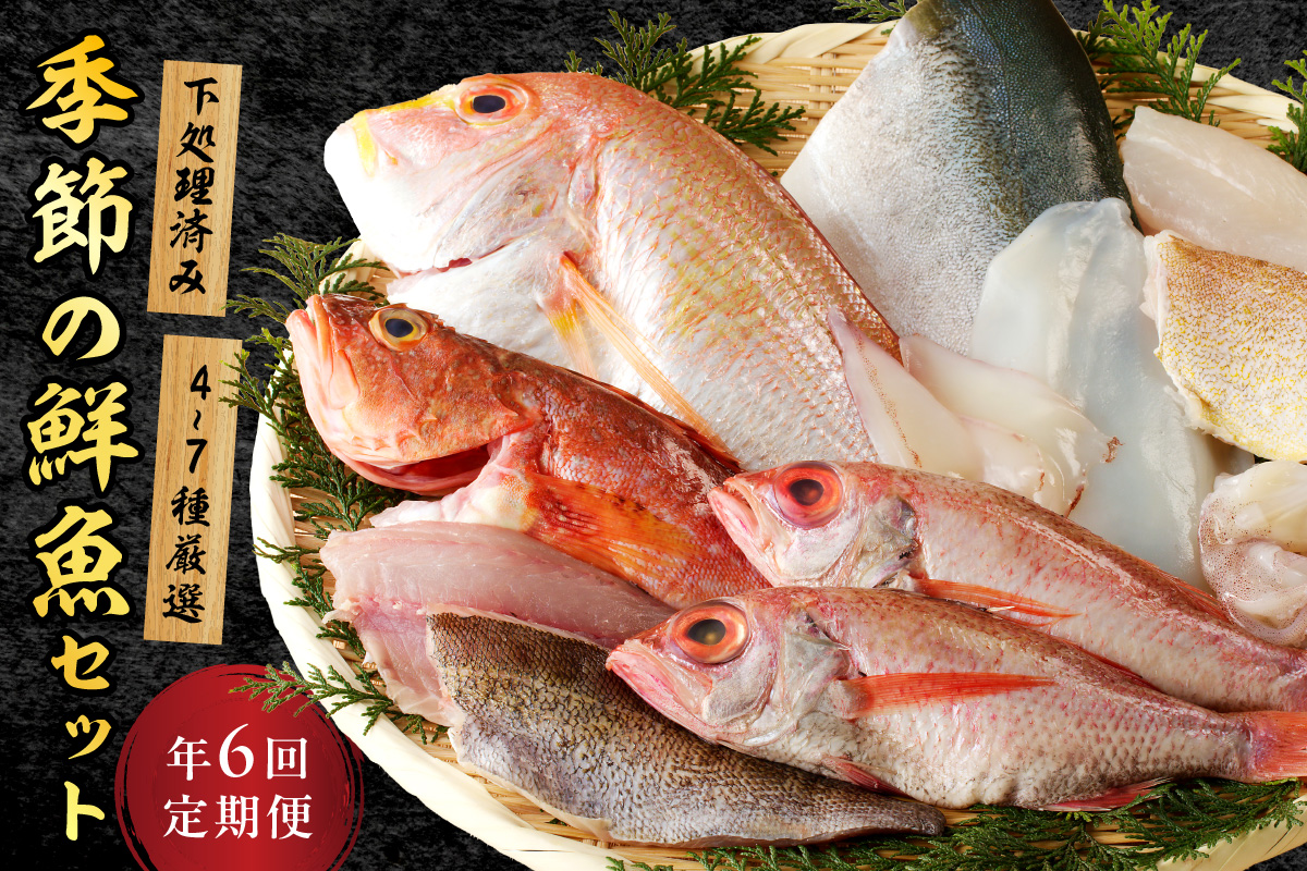 【定期便】季節の鮮魚セット年6回コース 定期便 6回 鮮魚 お任せ お取り寄せ 魚介 鮮魚 セット 下処理済み 【096_1695】