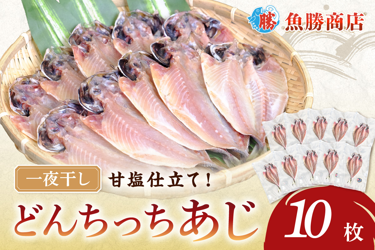 どんちっちあじ一夜干し10枚セット 魚介類 魚 干物 一夜干し あじ 鯵 セット 【136_1970】