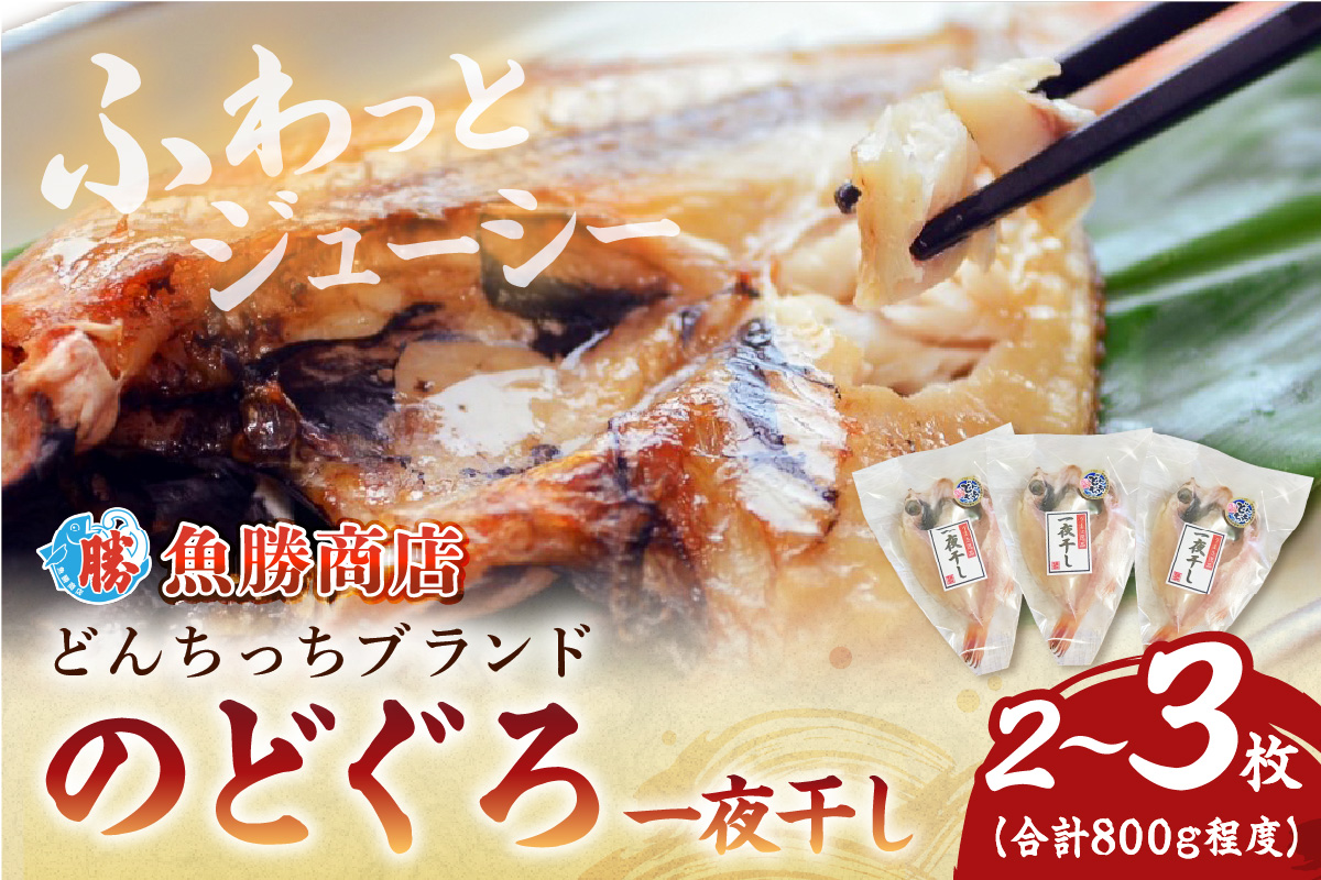 大きな「のどぐろ一夜干し（2～3枚）」 魚介類 魚貝類 魚 のどぐろ 干物 干もの 一夜干し のどぐろ一夜干し 【136_1995】