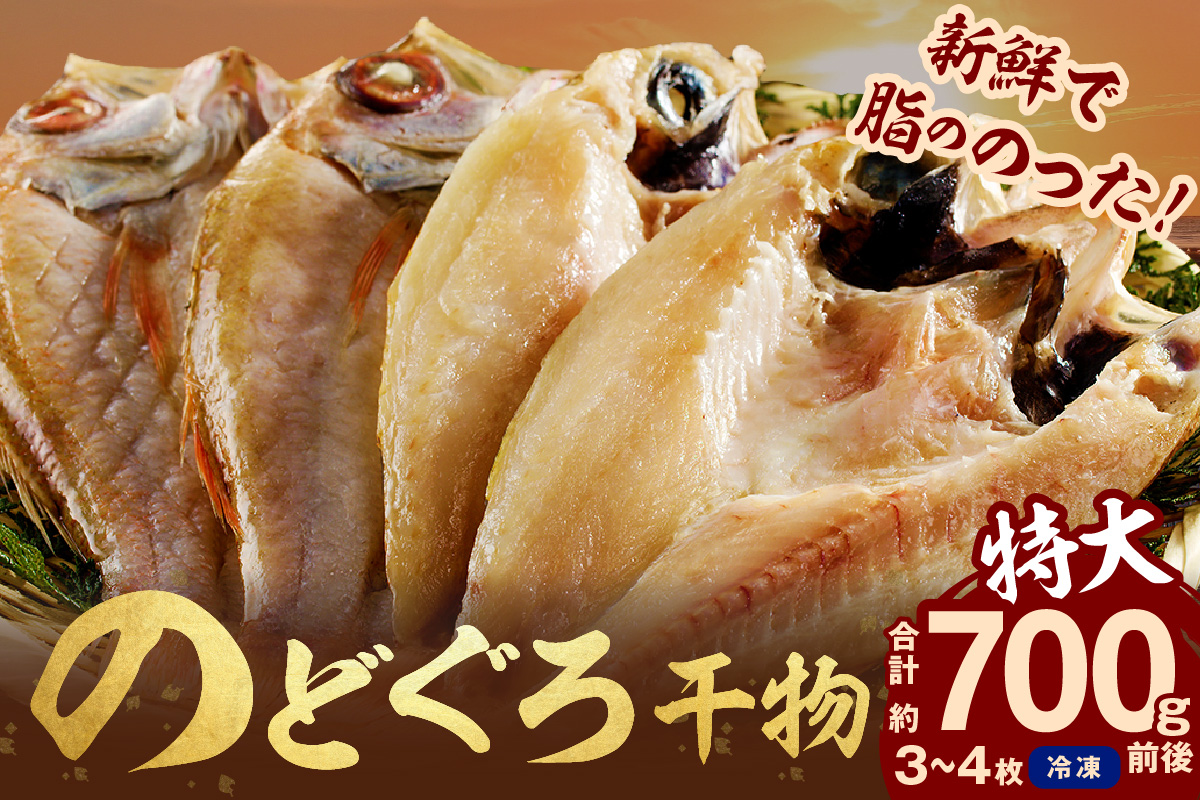 のどぐろ干物 特大3～4枚（計700g前後）＜9月中旬以降発送＞ のどぐろ本来の旨味に出会う渾身の干物 河野乾魚店 魚介類 魚貝類 干物 干もの 一夜干し お祝い お取り寄せ グルメ 【019_1949】