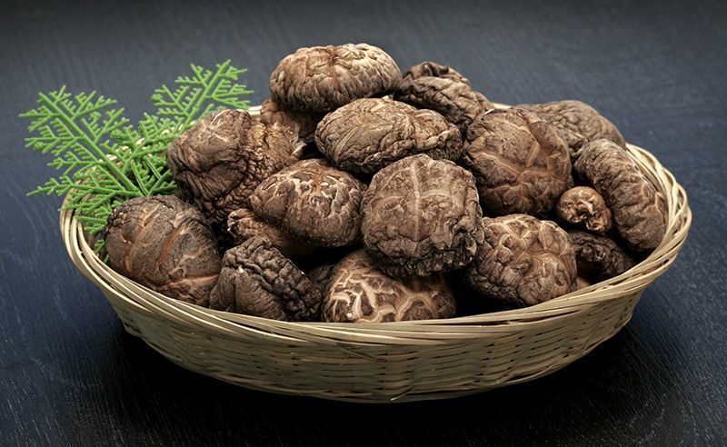 山陰浜田の特産「特選原木乾しいたけ」 椎茸 乾物 干し 乾燥しいたけ きのこ 原木栽培 原木椎茸 原木しいたけ 肉厚しいたけ 【010_1940】