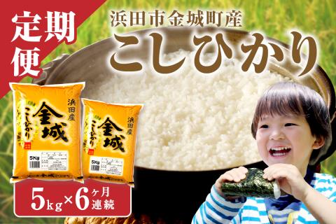 [定期便][令和6年産]浜田市金城町産こしひかり(5kg×6回コース)[10月上旬以降の発送 定期便 6回 こしひかり お取り寄せ 特産 お米 精米 白米 ごはん ご飯 コメ 新生活 応援 準備[366]