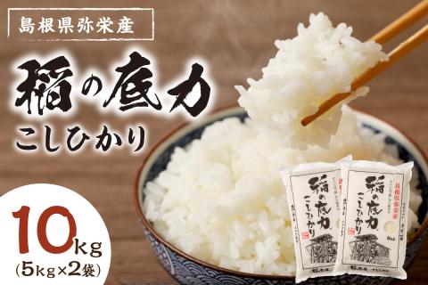 [令和6年産]]浜田産「稲の底力こしひかり」10kg お取り寄せ 特産 お米 精米 白米 ごはん ご飯 コメ 新米 新生活 応援 準備 10キロ [120]