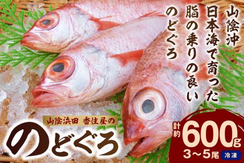 山陰浜田 香住屋の「のどぐろ」煮付け・塩焼き用(3〜5尾・600g) のどぐろ 煮付け 塩焼き 下処理済 特産品 おすすめ 海鮮 [107]