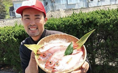 幻の高級魚「のどぐろ(鮮魚)」魚介 のどぐろ 鮮魚 高級魚 ふるさと納税 のどくろ 魚 のどぐろ 旬 期間限定 鮮魚 のどぐろ [10]