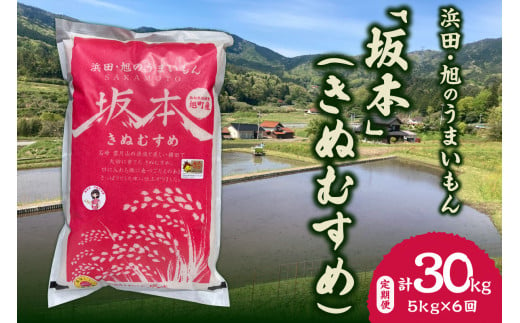 [定期便][令和6年産]浜田・旭のうまいもん「坂本」(きぬむすめ)5kg×6回[10月21日から発送] [1013]