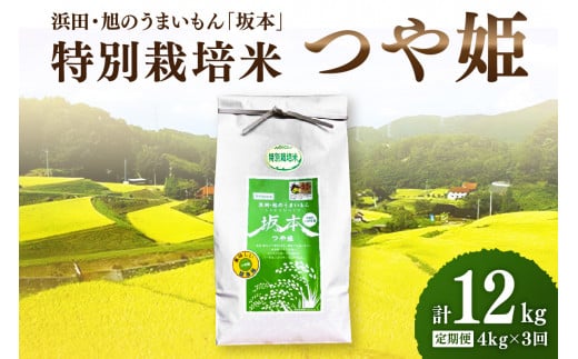 [定期便][令和6年産]浜田・旭のうまいもん「坂本」特別栽培米つや姫 4kg×3回 [1028]