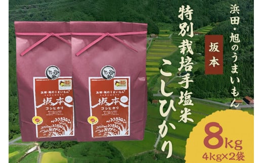 [令和6年産]浜田・旭のうまいもん「坂本」特別栽培手塩米こしひかり4kg×2袋 米 お米 こしひかり 特別栽培米 定期 定期便 3回 精米 白米 ごはん 新生活 応援 準備 お取り寄せ 特産 [1035]