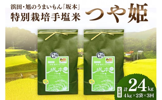 [定期便][令和6年産]浜田・旭のうまいもん「坂本」特別栽培手塩米つや姫 4kg×2袋×3回 [1039]