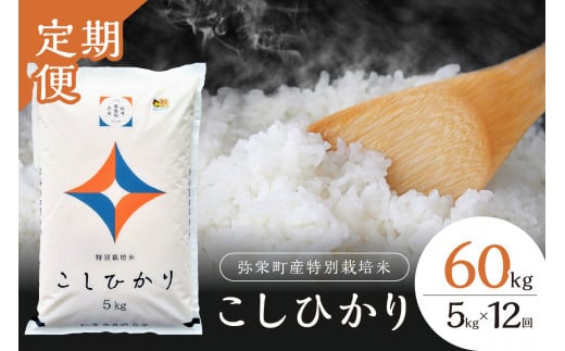 [令和6年産][新米先行予約]弥栄町産特別栽培米「秘境奥島根弥栄」こしひかり5kg(12回コース)[10月上旬発送予定] 定期便 12回 お米 こしひかり 5キロ [517]