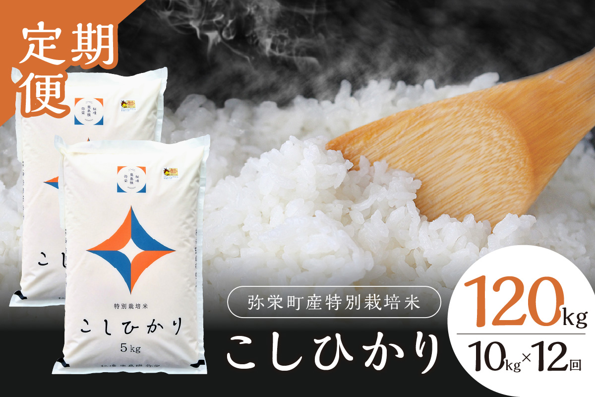 [令和6年産][新米先行予約]弥栄町産特別栽培米「秘境奥島根弥栄」こしひかり10kg(12回コース)[10月上旬発送予定]米 お米 こしひかり 特別栽培米 精米 白米 ごはん 定期 定期便 12回 お取り寄せ 特産 新生活[520]