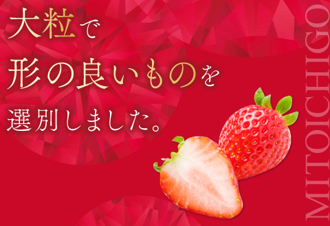 A-27 【先行予約】美都いちご（ギフトBOX）【いちご 2月発送 完熟 果物 くだもの フルーツ 苺 イチゴ ストロベリー 美都いちご 平2パック 大粒 ギフト ギフトボックス入り 冷蔵 先行予約 期間限定 季節限定 早期予約】