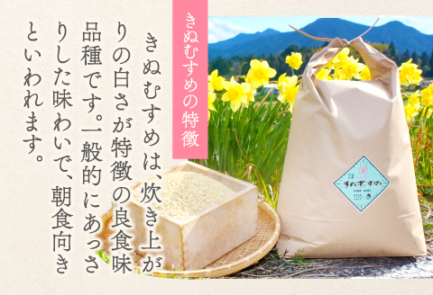 B-1094 横尾衛門のきぬむすめ 玄米 20kg【新米 先行予約 米 お米 玄米 ブランド米 きぬむすめ 20kg 1袋】