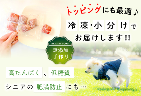 A-923 鹿肉ミンチ【冷凍】犬用 天然 無添加1㎏(100g×10袋)【鹿肉 ミンチ 犬用 無添加 1kg 小分け 100g×10袋 天然 冷凍 ヒューマングレード 手作り 天然素材 キューブ型 トッピング 高たんぱく 低脂質 シニア 肥満防止 ドッグフード ペットフード 新鮮】
