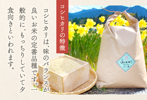 C-1104 【定期便】横尾衛門のコシヒカリ 玄米 10kg×3回コース【新米 定期便 定期 3回 米 お米 玄米 特別栽培米 低農薬 低化学肥料 ブランド米 コシヒカリ 10kg×3回 合計30kg】