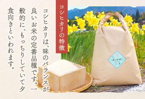 D-1113 【定期便】横尾衛門のコシヒカリ 白米 10kg×6回コース【 新米 定期便 定期 6回 米 お米 白米 精米 特別栽培米 低農薬 低化学肥料 ブランド米 コシヒカリ 10kg×6回 合計60kg】