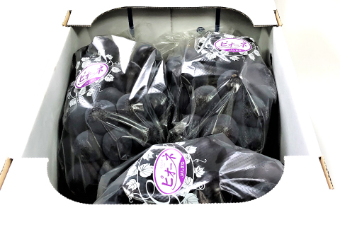 B-700 【先行予約】黒い宝石「種なしピオーネ」2kg【ピオーネ 2kg ぶどう ぴおーね 3房～5房 2.0kg 2キロ 種無し たねなし 大粒 期間限定 季節限定】