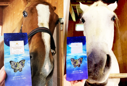 A-704 さんさん牧場の『バタフライピーティ―詰め合わせ』（引退競走馬の飼育寄付つき）【バタフライピーティー お茶 蜂蜜 はちみつ レモン セット 詰め合わせ 引退競走馬 馬 さんさん牧場 飼育寄附】