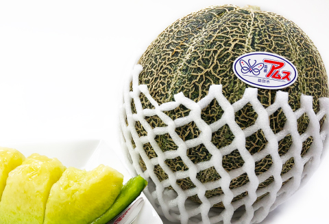 A-546 【先行予約】今年もおいしい『アムスメロン2玉』【メロン 2玉 先行予約 期間限定 季節限定 早期予約 果物 くだもの フルーツ めろん アムスメロン 夏作 青肉】