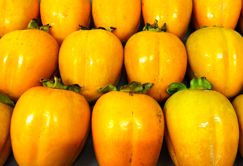 B-643 糖度14度以上のアールスメロン秀品1玉と大玉西条柿12玉のセット