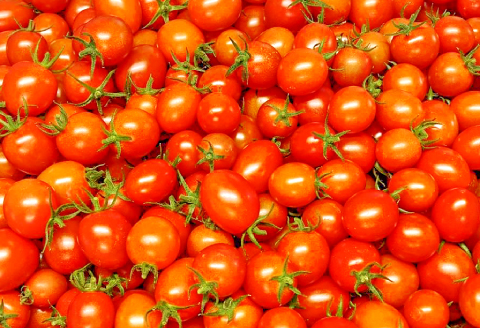 A-949 ミニトマト(サマー千果)1.5㎏