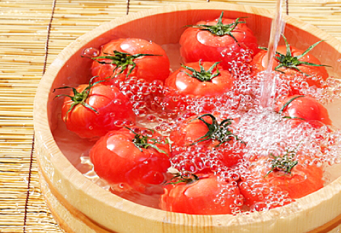 A-990[夏作]朝採れトマト4㎏(20玉前後)【先行予約 夏作 朝採れ トマト 4kg 20玉前後 野菜 桃太郎トマト 早期予約 季節限定 期間限定 旬】