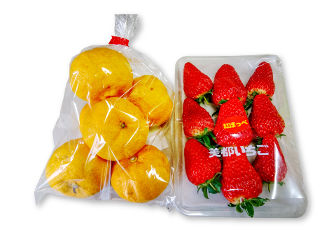 A-904 美都の旬野菜・果物・素朴な加工品いなかもんパック【旬野菜 果物 加工品 詰め合わせ セット ゆず いちご 乾燥しいたけ 切干し大根 きな粉 焼き米 お茶 季節限定 期間限定 常温 ギフト 贈答 プレゼント】