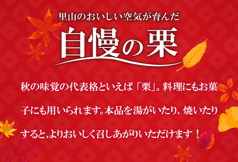 A-1037 【先行予約】里山の栗 1.5kg【栗 菓子 くり フルーツ 果物 くだもの 先行予約 期間限定 早期予約 季節限定 モンブラン 焼き栗 秋 栗ご飯 おやつ】
