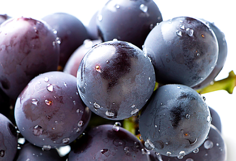 B-1000 朝採れ種なしぶどう ピオーネ 2kg【先行予約 ぶどう ピオーネ ぴおーね 2キロ 種無し たねなし 朝採れ 冷蔵 期間限定 季節限定 8月～10月上旬発送】