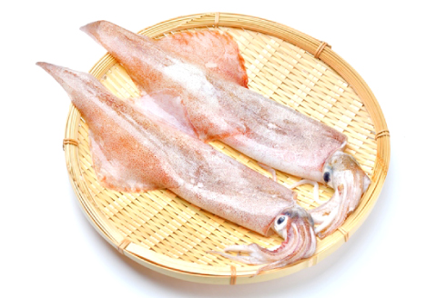 A-1043 日本海の新鮮いか　500g【魚貝類 魚介類 イカ あおりいか やりいか 真いか 白いか 甲いか 旬なもの 新鮮 冷蔵】