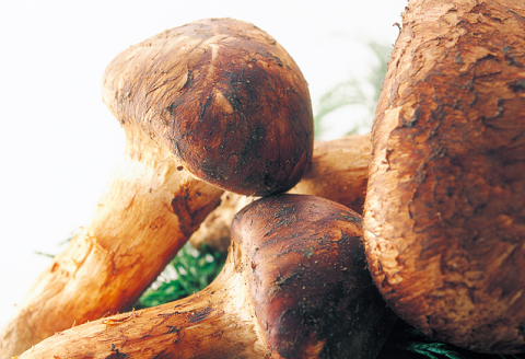 F-766 益田産まつたけ 500g